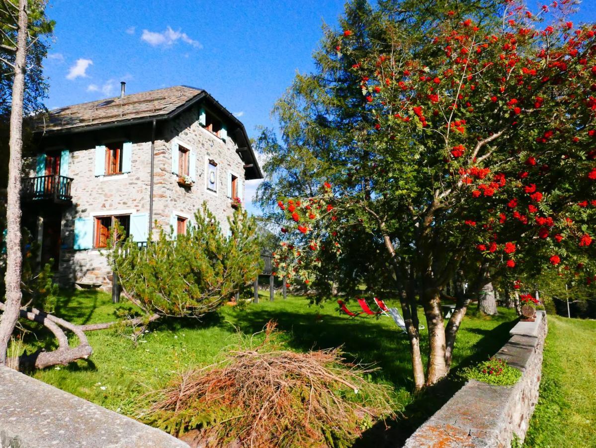 Chiareggio Il Cortese المظهر الخارجي الصورة