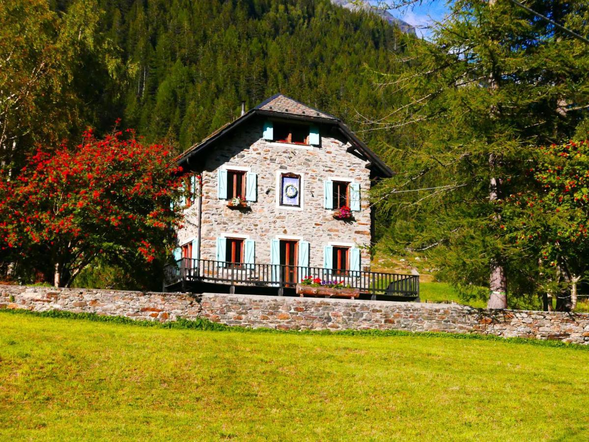 Chiareggio Il Cortese المظهر الخارجي الصورة