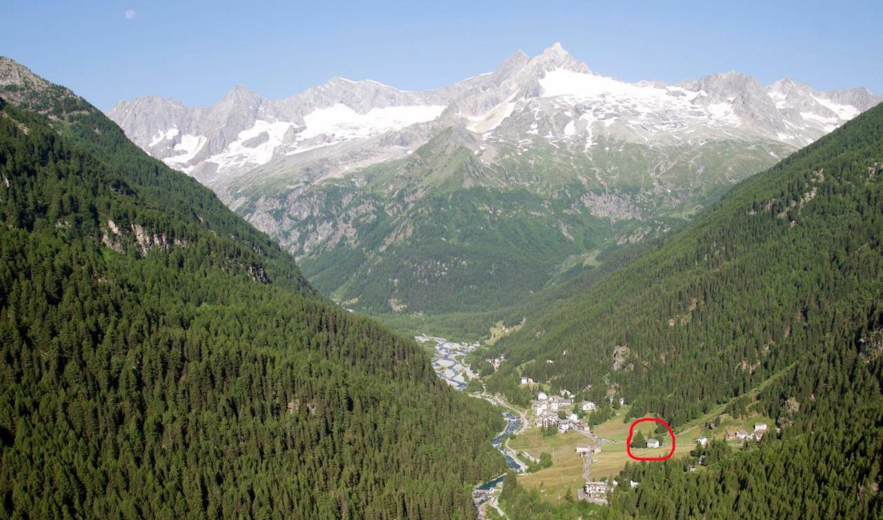 Chiareggio Il Cortese المظهر الخارجي الصورة