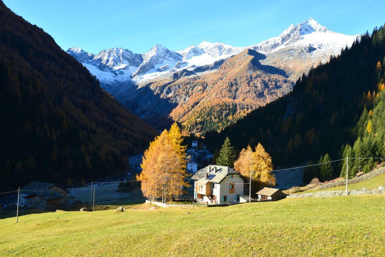 Chiareggio Il Cortese المظهر الخارجي الصورة