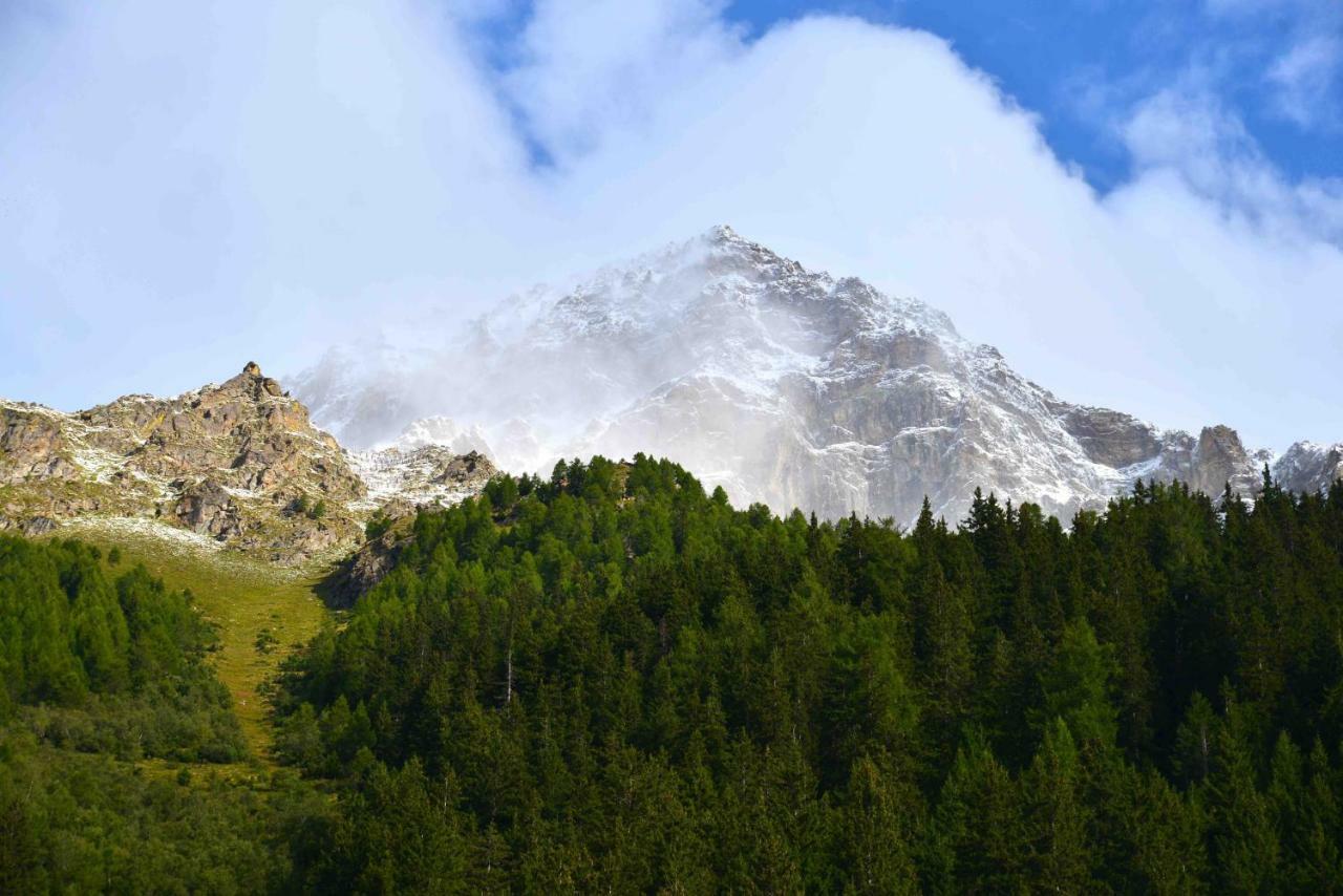 Chiareggio Il Cortese المظهر الخارجي الصورة