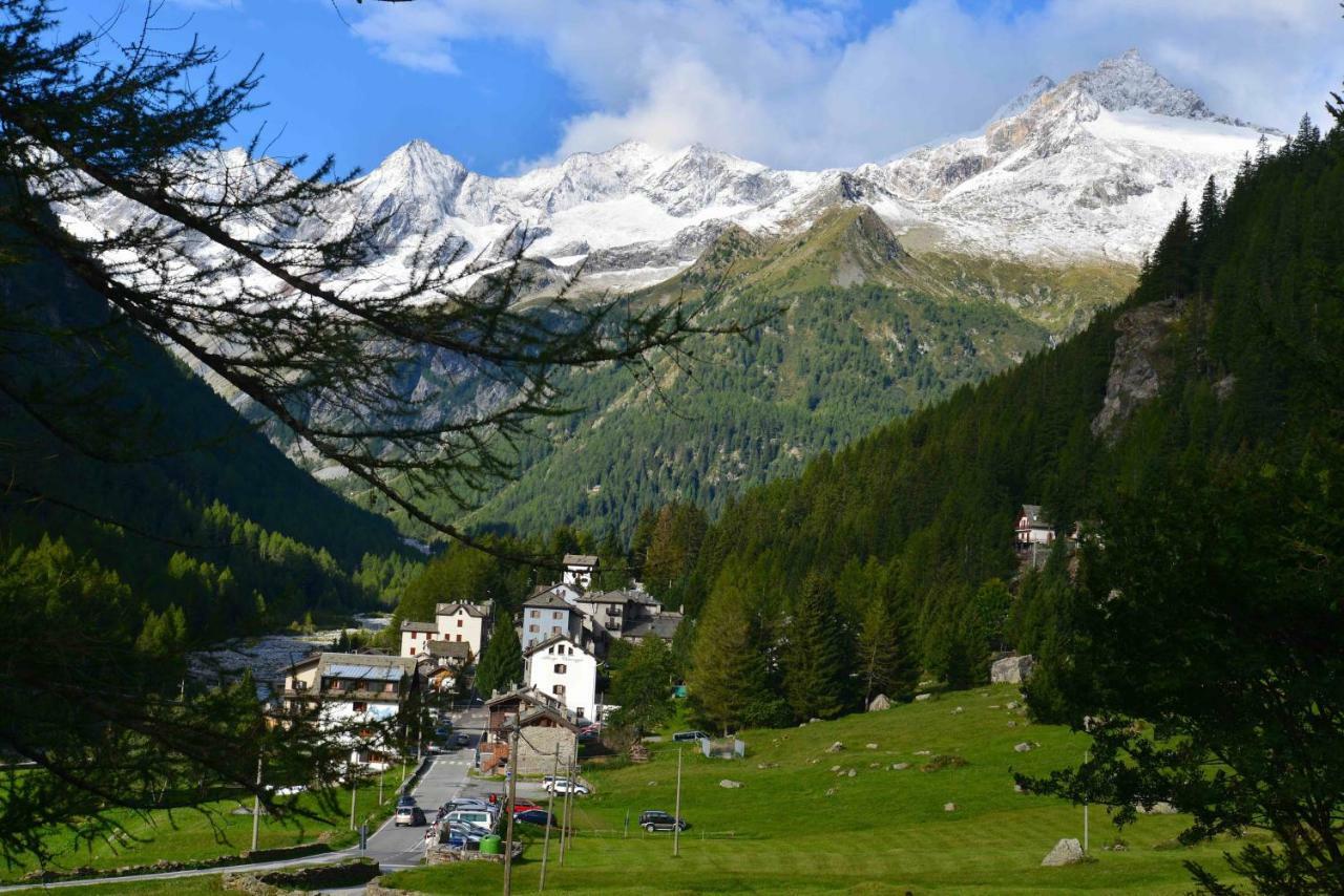 Chiareggio Il Cortese المظهر الخارجي الصورة