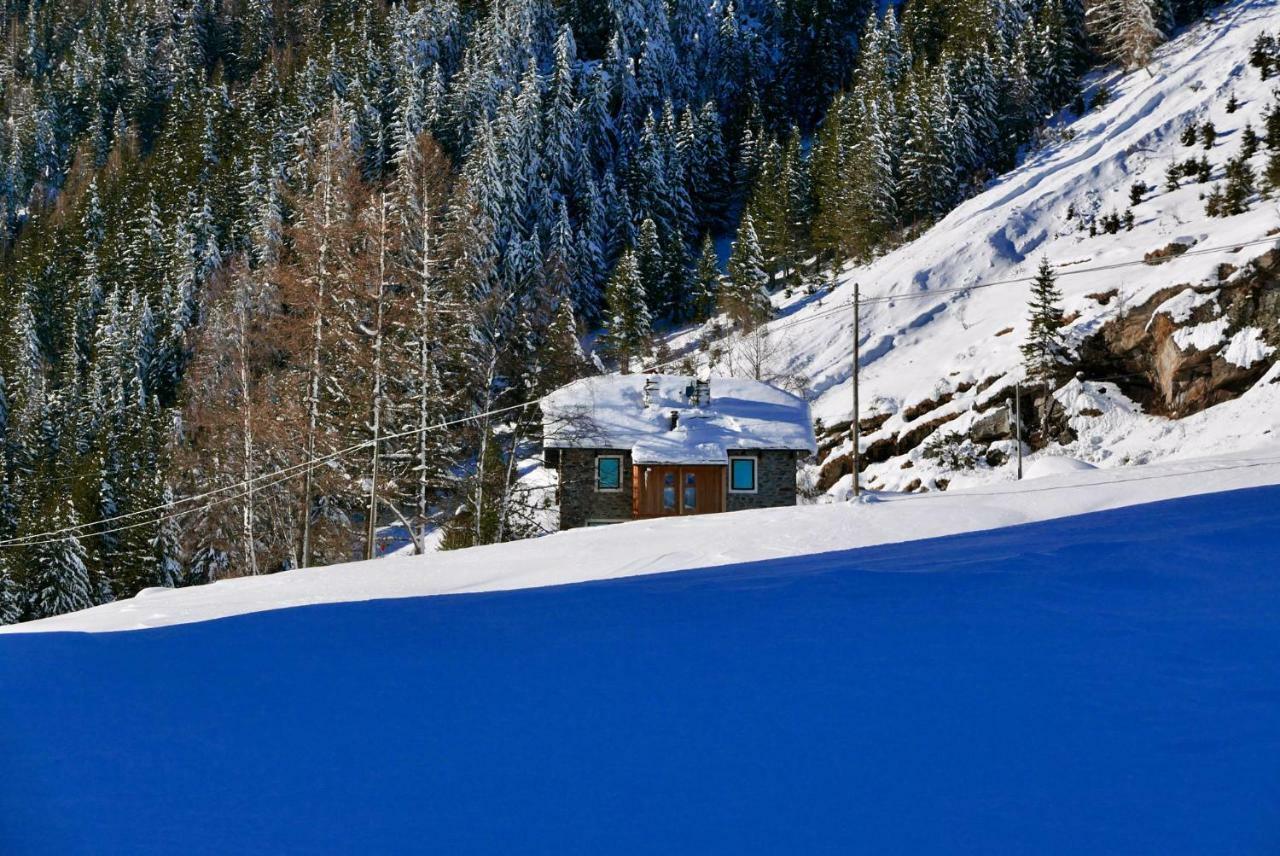 Chiareggio Il Cortese المظهر الخارجي الصورة