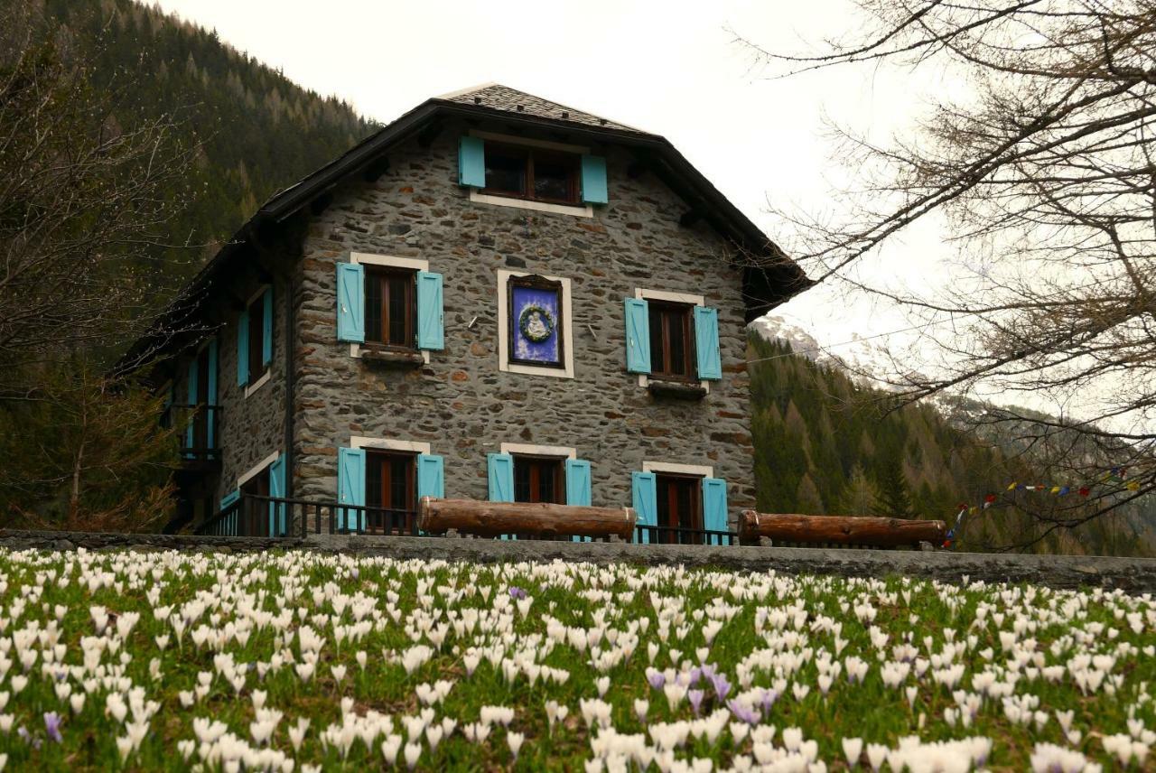 Chiareggio Il Cortese المظهر الخارجي الصورة